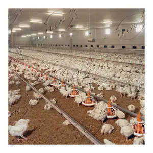 Low Cost Modern Design Automatic Poultry Farm House Equipments in India