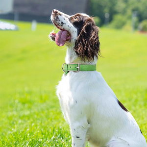 Collar de perro ajustable a cuadros de cuero suave con hebilla de metal a prueba de óxido - Product Image 5