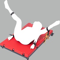 Produits pour adultes, accessoires sexuels, chaise de punition à jambes écartées forçées, dispositif de fixation des membres, mobilier sexuel BDSM