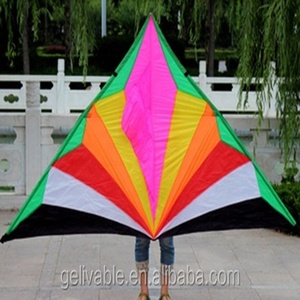 ว่าวสามเหลี่ยมปากเป็ด,ว่าวพร้อมเกลียวบินคุณภาพสูงจากโรงงานผลิตว่าวเหวยฟาง - Product Image 2