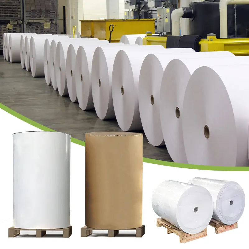 Thermisch Papier Fabrikant 48gsm 55gsm 58gsm 60gsm 65gsm Thermisch Papier Jumbo Rolls