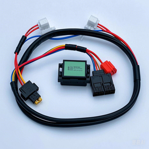 Faisceau de câblage ECU automobile, câble en cuivre isolé PVC, adaptateur de connecteur, 300 mm, 12 V, IP20, installation statique - Product Image 1
