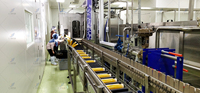 Industriële mangosapverwerkingsmachine, fruit-sap drankenproductielijn met pasteurisator, vul- en verpakkingsapparatuur