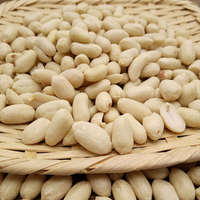 Cerneaux d'arachides bruts blanchis d'origine Shandong, faible teneur en aflatoxine, approvisionnement en vrac pour la fabrication du chocolat