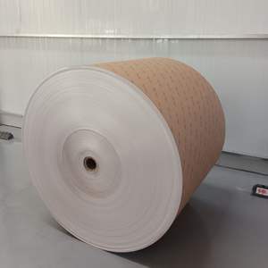 Rouleau géant de papier blanc/kraft simple/double couché PE pour la fabrication de gobelets – Matière première en gros pour fabricants - Product Image 2