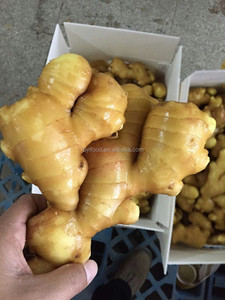 1kg 10kg 13.6kg 20kg Organic Fresh <strong>Dry</strong> <strong>Ginger</strong> Price in China - Product Image 2
