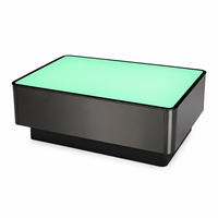 Lampe de table LED moderne à bord naturel pour bar, restaurant, table basse lumineuse effet mousse marine avec cadre métallique pour hôtel, salon, pub
