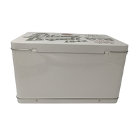 Boîte à gâteau rectangulaire en fer blanc personnalisée avec logo imprimé pour enfants, avec poignée, finition mate, impression CMJN