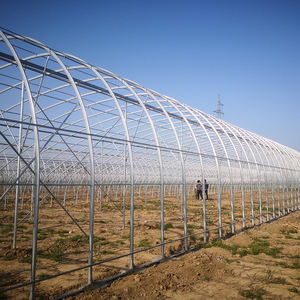 Agricoltura completa agricoltura ad arco a forma <span class=keywords><strong>di</strong></span> serra alta tunnel verde <span class=keywords><strong>casa</strong></span> per le <span class=keywords><strong>colture</strong></span> <span class=keywords><strong>di</strong></span> semina - Product Image 6