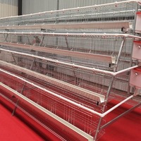 Système de cages automatiques de type A pour poules pondeuses – Cages en maille de type A pour l'élevage avicole à longue durée de vie