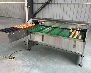 Excelente Máquina Clasificadora y Empacadora de Huevos, Máquina Clasificadora de Huevos Mecánica, Máquina Clasificadora de Huevos <span class=keywords><strong>Moba</strong></span> - Product Image 4