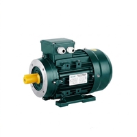 Moteur asynchrone monophasé OMEIK série MY 0,75 kW 1 CV, protection IP54, 3000 tr/min, montage sur pied 130 mm pour meuleuse