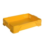 Fruit- en groentebewaarbak, opbergbak, plastic broodkrat