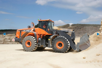 Pala Gommata Multifunzione da 12 Tonnellate DL580-5 con Benna da 5 Metri Cubi per Uso Agricolo e Edile