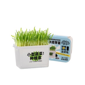 Kit de culture hydroponique de blé vert pour enfants, récolte en 10-15 jours, plantation intérieure - Product Image 1