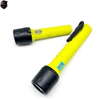 Long Range Flashlight Torch Brando BO-T666 IP68 Waterproof USB Rechargeable Torches Linterna