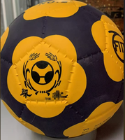 Vente en gros impression logo personnalisée ballon de football en caoutchouc sans couture tchoukball pour entraînement de match