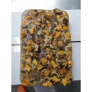 SANFENG SEAFOOD Carne de Almeja Congelada Fresca Sin Concha de China, <span class=keywords><strong>Precio</strong></span> al por Mayor - Product Image 1