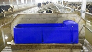 Animal LOT Bétail Eau potable automatique Nouvelle innovation <span class=keywords><strong>Plastique</strong></span> Longue durée r Abreuvoir pour eau de vache - Product Image 4