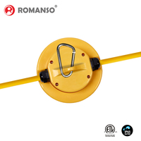 Guirlande lumineuse LED professionnelle connectable, 5 ans de garantie, 65W 130W ETL UL IP65 5000K, 10 ampoules, 100 pieds, 18AWG
