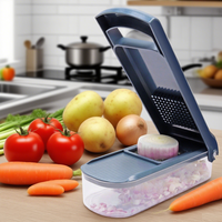 Keukenaccessoires 6-delige plastic handmatige mandoline aardappel snijder multifunctionele groentesnijder container roestvrijstalen gereedschap