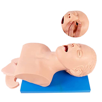 Modelo de intubación traqueal humana, simulador de entrenamiento de intubación Nasal
