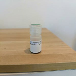 Perlas Magnéticas Modificadas con Carboxilo para Acoplamiento Covalente de Anticuerpos, Activación EDC NHS, Aplicaciones de Investigación en Inmunoensayo - Product Image 1