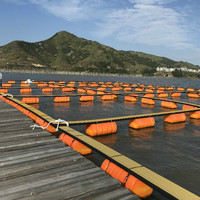 L'aquaculture remplie de mousse flotte des cages de pêche ponton flottant avec barrière flottante de rivière de barrage de marche