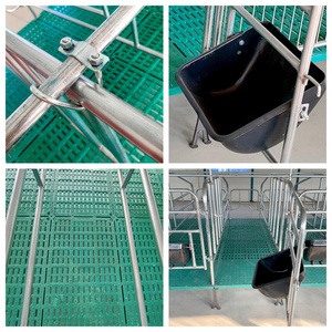 10 Corrales <span class=keywords><strong>de</strong></span> Gestación Jaulas <span class=keywords><strong>de</strong></span> Paridera para Cerdas Granjas Porcinas - Product Image 4