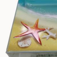 Caja de plástico con impresión personalizada, caja de plástico transparente con impresión offset de regalo para festival