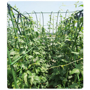 Piquet métallique revêtu de plastique pour support de plantes grimpantes - Product Image 6