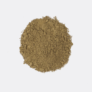 Thé vert japonais Hojicha en sachets, de haute qualité, unique, au parfum reconfortant et au goût profond de noix. - Product Image 1