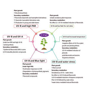 Barre de lumière LED de culture supplémentaire de 30 W, spectre UVA/UVA+UVB, floraison des plantes, indice de protection IP65, floraison unique - Product Image 2