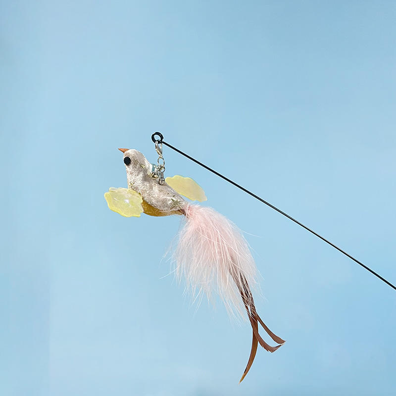 Cabeza de reemplazo de pájaro chupador de miel