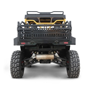 UTV 1000cc 4X4 Off Road Dune Buggy - Product Image 6