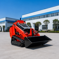 Pengiriman Gratis Mini Skid Steer Loader EPA Euro 5 CE Hydraulic Compact Track Loader untuk Pertanian dan Konstruksi