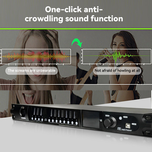 เพาล์คิตสัน SD448 โปรเซสเซอร์เสียง อีฟเฟคเตอร์ AUTO/FIR/EQ ดิจิตอล DSP RTA โปรเซสเซอร์เสียง อุปกรณ์เสียงระดับมืออาชีพ - Product Image 4