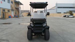 Service ODM, Agent de marque exclusif Eirmon, Chariot de golf électrique confortable à 4 roues avec capacité de 2/4/6/8 places, Chariot de golf routier - Product Image 4