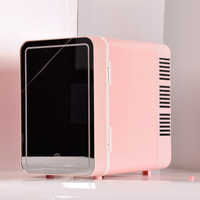 Mini-réfrigérateur rose 4L en promotion avec miroir LED pour le rangement des cosmétiques et des soins de la peau pour filles