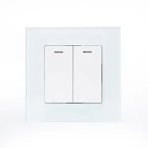 EU Type 2 Gang Electric Glass Switch With Led Indicator 10A 250V Wall Light Switch With 20 Years Warranty CE Rohs Certificates