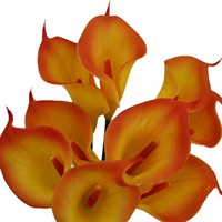 Bouquet de 9 lys calla artificiels haut de gamme faits à la main en colle souple, style européen, pour la décoration de la maison, du salon et de la table basse