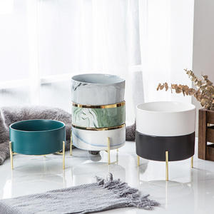 Ikitchen 2022 hayvan mama kabı beyaz seramik köpek kasesi Metal tutucu ile lüks yavaş besleyici seramik kedi köpek kase toptan özel - Product Image 4