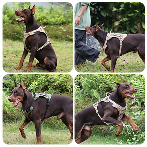 Arnés de Lujo Ajustable para Perro de Poliéster - Personalizado y Adaptable para Paseos, Senderismo y Entrenamiento |   Diseño sin tirantes - Product Image 6