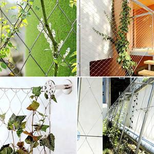 Настраиваемая сетка из нержавеющей стали-легко установить 304/316 проволочную сетку для зеленых стен и фасадов - Product Image 4