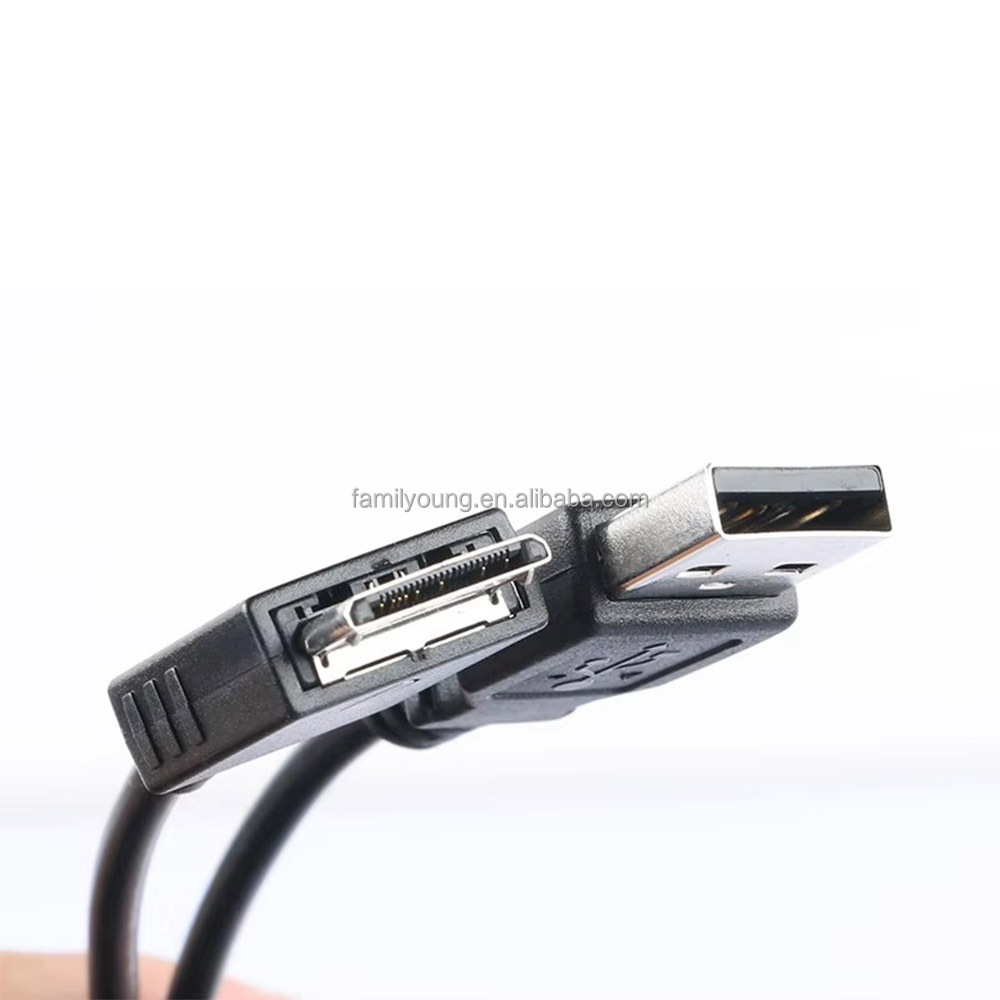 Vhbw Cavo Dati USB Da Tipo A A Lettore MP3 Cavo Di Ricarica Compatibile Con Sony Walkman Nw A919 Nw S603 Lettore Mp3 Nero 150cm 35036871 Vhbw Cavo Dati USB Da Tipo A A Lettore MP3 Cavo Di Ricarica Compatibile Con Sony Walkman Nw A919 Nw S603 Lettore Mp3 Nero 150cm 35036871
