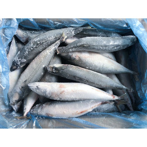 Maquereau du Pacifique surgelé IQF naturel pur 300-500g <span class=keywords><strong>Prix</strong></span> <span class=keywords><strong>de</strong></span> gros <span class=keywords><strong>des</strong></span> fruits <span class=keywords><strong>de</strong></span> <span class=keywords><strong>mer</strong></span> surgelés - Product Image 3
