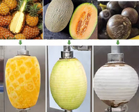 Automatische Mango Schilfermachine Elektrische Mango Schilfermachine Groene Mango Schilfermachine Ananas Oogjes Verwijderaar