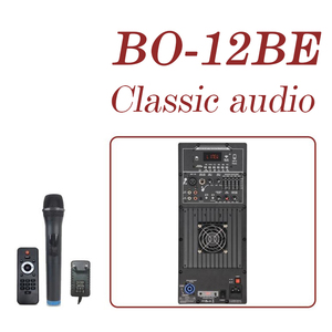 Amplificador de Audio profesional para el hogar de 12 pulgadas, altavoces de 100W para estudio de música, fiesta, DJ y caja de altavoz de Karaoke - Product Image 2