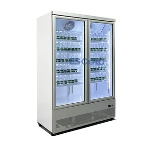 Ventilateur vertical à double porte Refroidisseur de boissons gazeuses pour affichage de réfrigérateur