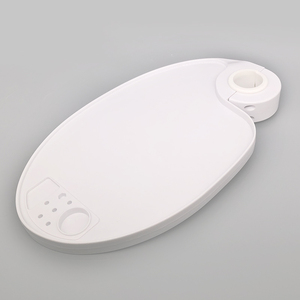 Dental Chair Scaler Tray Placed Plastic Additional Units Dental Instrument Elliptical Tray